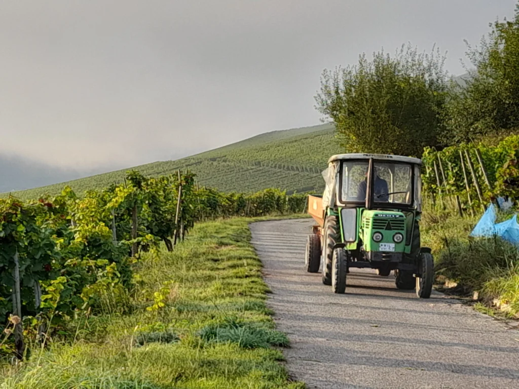 Mosel-Winzer im Traktor